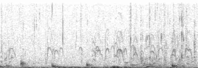 黃蹼洋海燕 - ML391976351