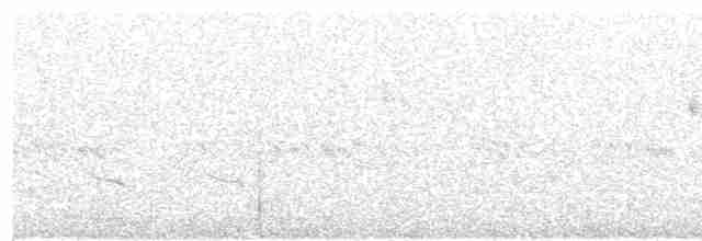 Scissor-tailed Nightjar - ML392012221
