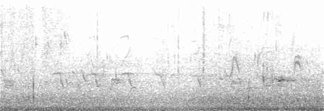 pěnice pokřovní (ssp. halimodendri) - ML392145081