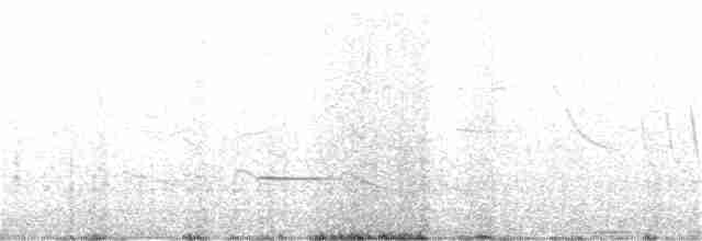 Striped Cuckoo - ML392214911