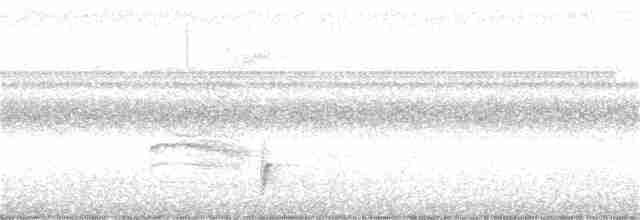 Дрізд-короткодзьоб Cвенсона - ML392301841