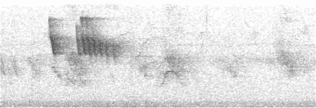 Светлоголовый тиранн - ML392438591