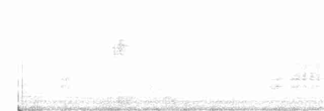 Arctic Warbler - ML392478911