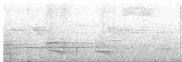 Ошейниковый трогон [группа collaris] - ML39255841