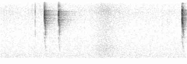 Troglodyte de Baird - ML392594721