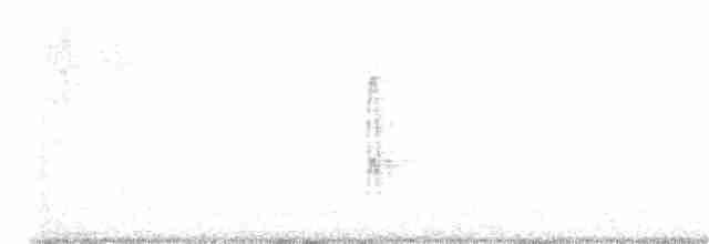 strakapoud proužkohřbetý - ML392600711