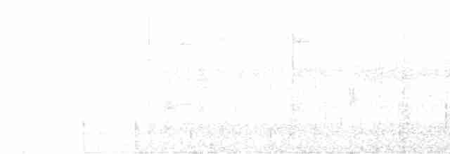 White-throated Crake - ML392615991