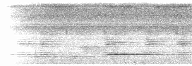 Tinamou de Bartlett - ML392624411