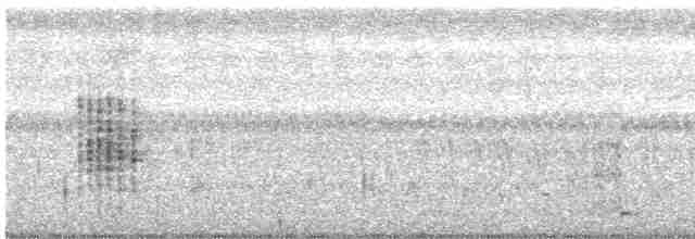 Oriental Reed Warbler - ML392639991