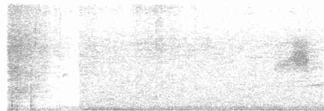 Koromandelrennvogel - ML392668261