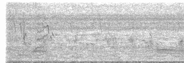 Blyth's Reed Warbler - ML392669441