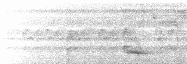 Channel-billed Toucan (Channel-billed) - ML392677921