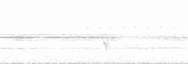 Белобровый торорой - ML392715911