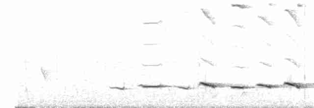 Белобровый торорой - ML392716061