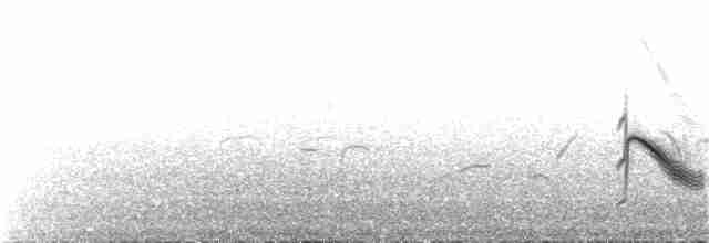 Gray-cheeked Thrush - ML392809801
