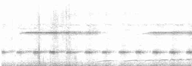White-throated Nightjar - ML392816301