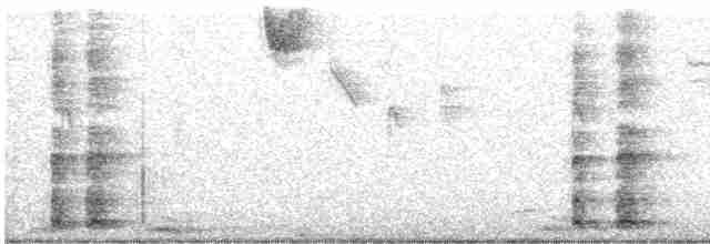 Ring-necked Pheasant - ML392878101