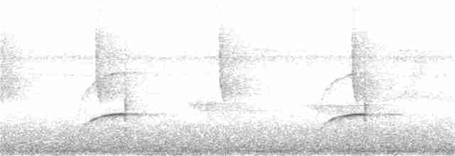 Синелобая якамара - ML392883321