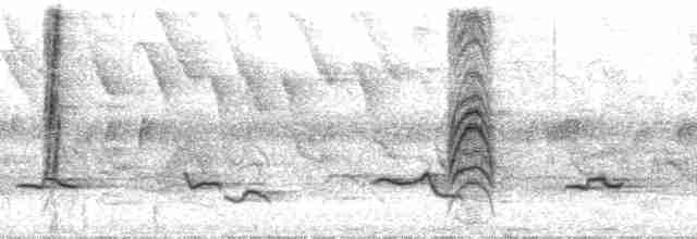 Tangara Terciopelo (costaricensis) - ML39293