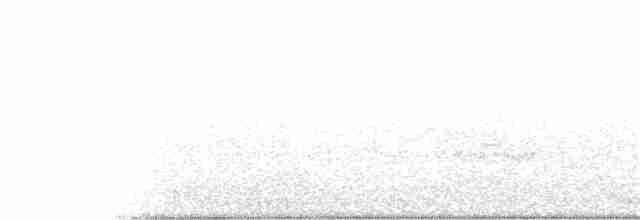 White-striped Warbler - ML392937221