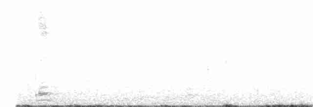 Geai à nuque blanche - ML393301901
