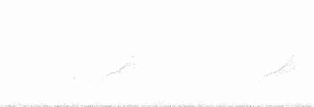 Vireo de Hutton (grupo stephensi) - ML393405131