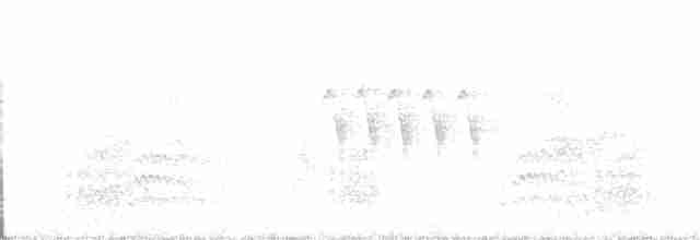 Гіла чорновола [група formicivorus] - ML393405831