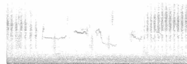 Troglodyte des marais - ML393558471