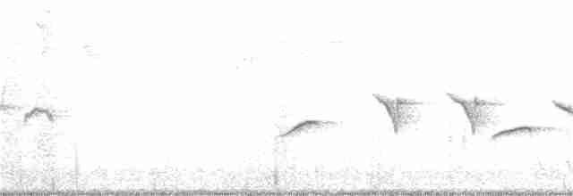 strnadec kaštanový (ssp. iliaca/zaboria) - ML393569891
