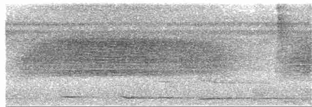 holub krátkozobý - ML393620751