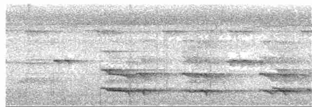 Желтогорлый тукан (swainsonii) - ML393620821