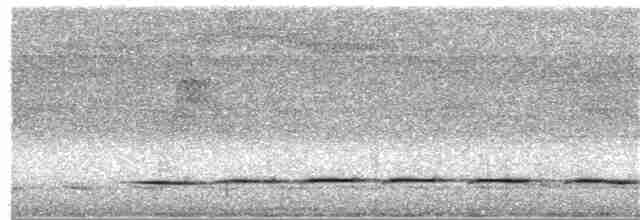 Streak-chested Antpitta (Pacific Slope) - ML393654381