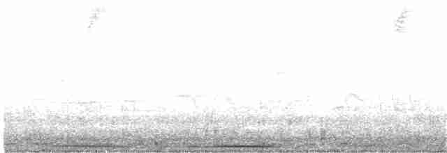 White-throated Quail-Dove - ML393672941