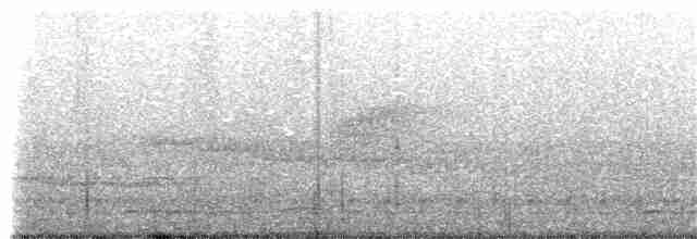 Вилохвістка плямиста - ML393802181