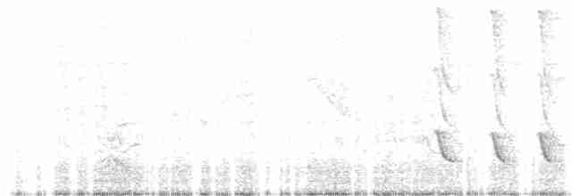 Белокрылый бекард - ML393840221