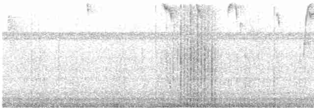 kolibřík bělokrký - ML393892841