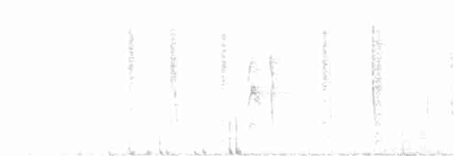 Troglodyte de Baird - ML393931311