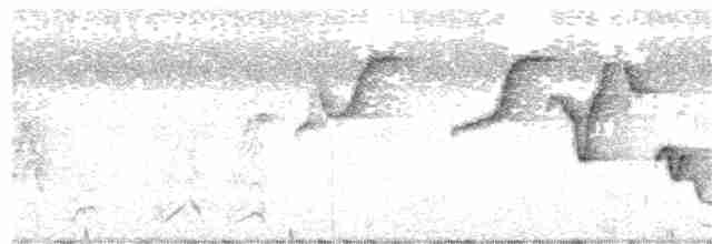 Zeledon Çıtkuşu - ML393962061