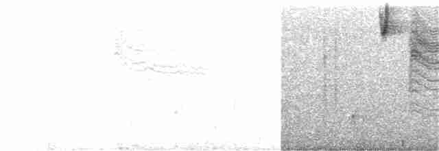 leskot modrošedý [skupina obscura] - ML393998481