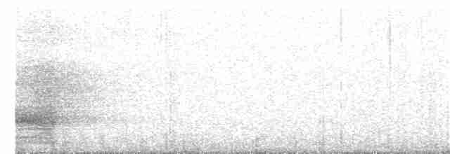 Loro Ecléctico de Nueva Guinea - ML394028561