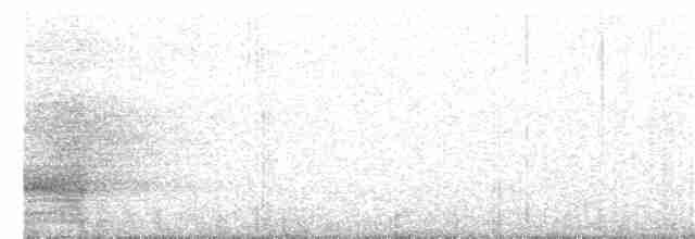 Loro Ecléctico de Nueva Guinea - ML394028611