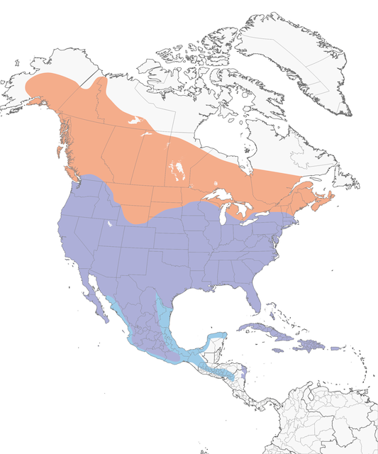 Distribution of the Red-tailed Hawk - Red-tailed Hawk - 