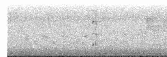 Spotless Crake - ML394037361