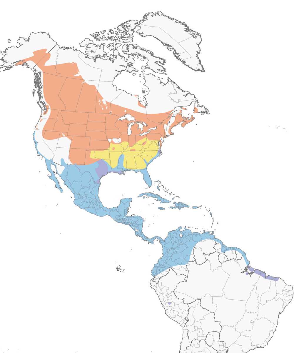 Blue-winged Teal Range Map