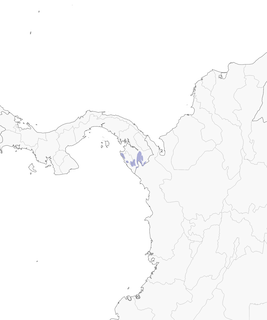 Distribution of the Pirre Hummingbird - Range Map