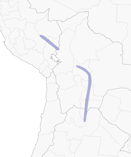 Distribution of the White-throated Antpitta - White-throated Antpitta - 