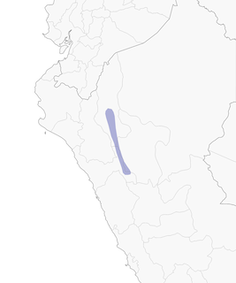 Distribution of the Pale-billed Antpitta - Range Map