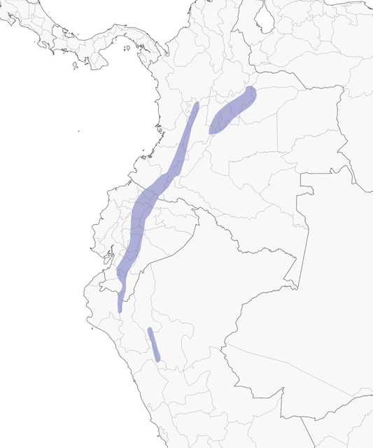 Distribution of the Tawny Antpitta - Tawny Antpitta- - 