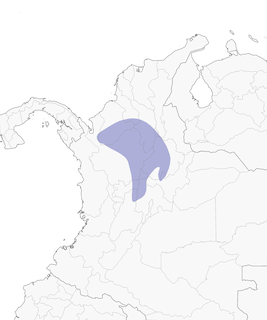 Distribution of the Sooty Ant-Tanager - Range Map