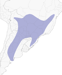 Distribution of the Chaco Eagle - Range Map